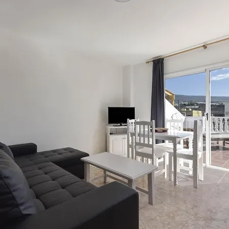 Pardela * Playa de San Juan (Tenerife)