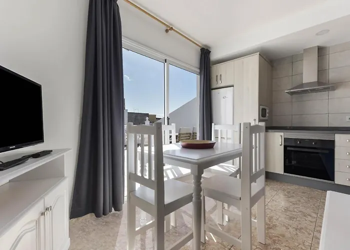 Pardela Daire Playa de San Juan (Tenerife)