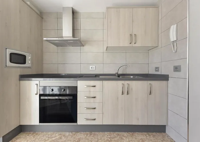 Pardela * Playa de San Juan (Tenerife)