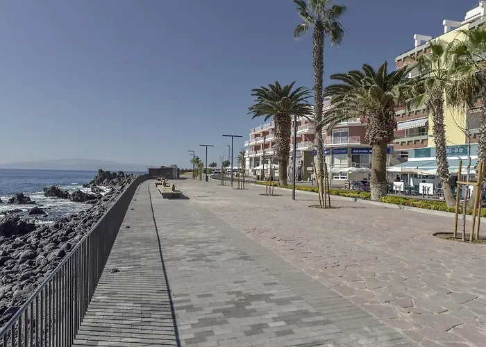 Pardela Daire Playa de San Juan (Tenerife)