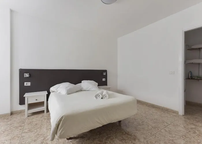 Pardela Playa de San Juan (Tenerife)